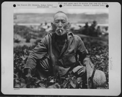 Thumbnail for General > And Another Pauses Before Digging His Sweet Potatoes - And So Is The Old Man In His Sweet Potato Patch, Stoically Smoking A Cigarette Given Him By The Photographer.  Okinawa, Ryukyu Retto.