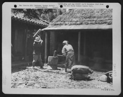 Thumbnail for General > Natives Pound Rice Into Flour At A Rice Mill On Okinawa, Ryukyu Retto.  The Resulting Product Will Be Used By The American Military Government Hospital On The Island.  15 June 1945.