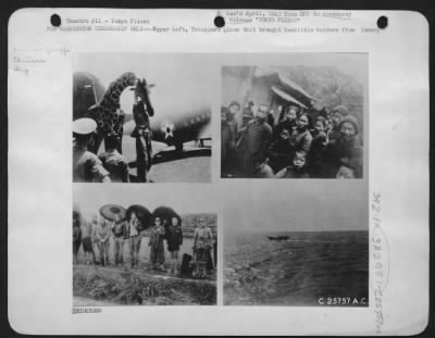 Thumbnail for General > for WASHINGTON CENSORSHIP ONLY---Upper Left, Transport plane that brought Doolittle Raiders from China to India, with Giraffe.-Upper right, bewildered Chinese natives of village near where bomber crashed seeing their first white man.-Lower left