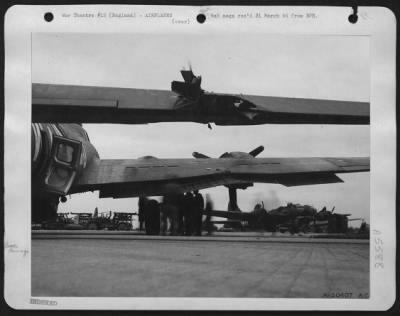 Battle Damage > Grinnell shows other ground crew members hole in right stabilizer sliced by the runaway prop.