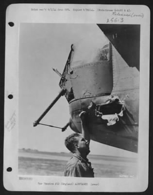 Battle Damage > ENGLAND-M/Sgt Robert Hinman of Madison, Wisconsin, crew chief of the Liberator "Liberty Lib" inspects the large hole in the tail of the bomber caused by a flak burst.