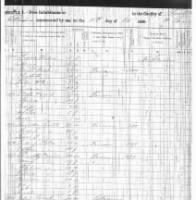 Thumbnail for Susannah Doub--1850 Forsyth County Census.jpg