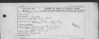 Thumbnail for US, Texas Birth Certificates, 1903-1910, 1926-1929 - Page 2