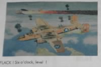 FLAK, 6 O'clock LEVEL  by RM Johnston