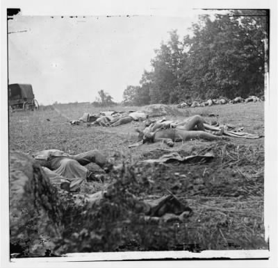 Thumbnail for 1019 - Gettysburg, Pa. Confederate dead gathered for burial at the edge of the Rose woods, July 5, 1863