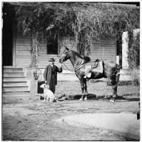 125 - City Point, Virginia. Gen. Rufus Ingalls' horse and dog? - Page 1