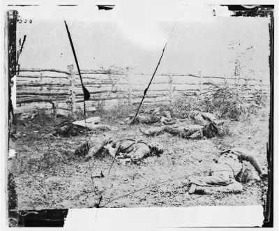 Thumbnail for 1250 - Antietam, Maryland. Confederate soldiers as they fell inside the fence on the Hagerstown road