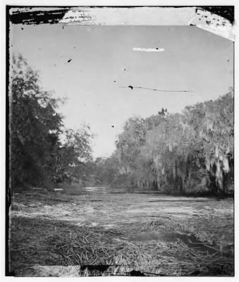 Thumbnail for 1991 - Hilton head Island, South Carolina. Mud creek