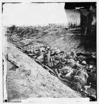 Thumbnail for 2105 - Antietam, Maryland. Dead soldiers in ditch on the right wing where Kimball's brigade fought so desperately