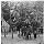 Thumbnail for 2193 - Petersburg, Va. Gen. Orlando B. Willcox and staff, 3d Division, 9th Corps - Page 1