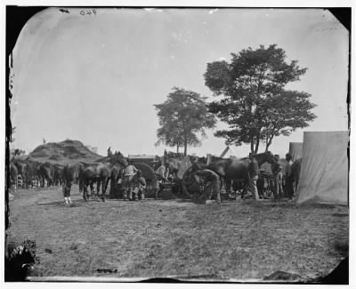 Thumbnail for 2760 - Antietam, Md. Blacksmith shoeing horses at headquarters, Army of the Potomac