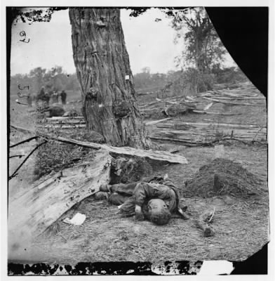 Thumbnail for 3205 - Antietam, Maryland. Federal buried, Confederate unburied, where they fell