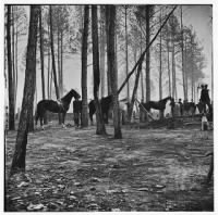 3571 - Cavalry detail at Gen. Adelbert Ames headquarters - Page 1