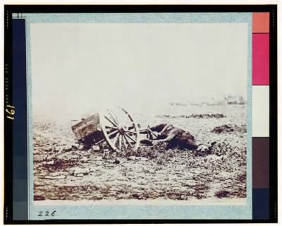 Thumbnail for 4148 - Dead horse on battlefield, Gettysburg, Pennsylvania