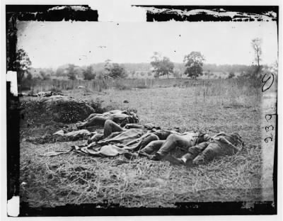 Thumbnail for 4156 - Gettysburg, Pennsylvania. View in wheatfield opposite our extreme left