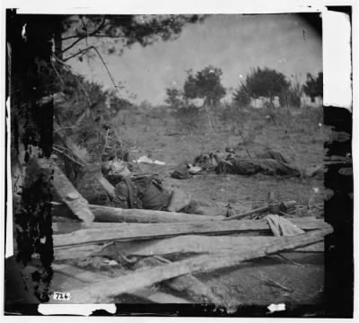 Thumbnail for 4402 - Spotsylvania Court House, Virginia. Bodies of Confederate soldiers near Mrs. Alsop's house