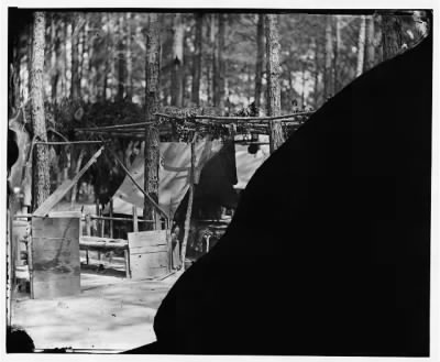 Thumbnail for 5544 - Petersburg, Virginia. Camp in pine woods