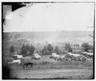 Thumbnail for 5752 - Cumberland Landing, Virginia. Encampment of the Army of the Potomac