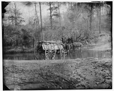 Thumbnail for 6777 - Virginia. Mule team crossing a brook