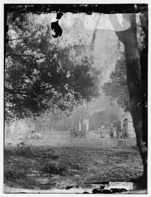 696 - Port Royal Island, South Carolina. View on Mill's plantation