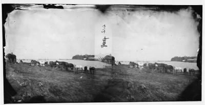 Thumbnail for 699 - Belle Plain, Virginia. Encampment of 2nd N.Y. and 1st Mass. Heavy Artillery