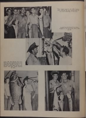 1946 > Page 66