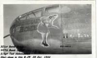 Thumbnail for 321st Bomb Group, 447th Bomb Squad, S/Sgt Abbondanza shot-down 20 Oct.'44