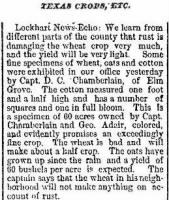 D C Chamberlain May 1879 Wheat Crop Rust.JPG