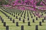 Thumbnail for Florida National Cemetery