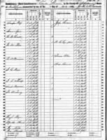teresa allen 1860 slave schedule.jpg