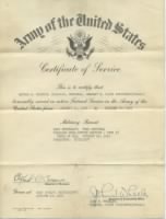 Thumbnail for Certificate of Service 113th Eng.jpg