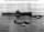 Thumbnail for 1951-1951, 131X, USS Essex (CV-9)