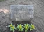 Thumbnail for Lucius H Gilmore headstone_Millville Cem Concord NH.jpg