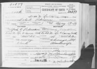 Thumbnail for Robert Pedersen Certificate of Birth 1916.jpg