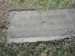 Thumbnail for Lee Allen Herridge tombstone.jpg