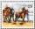 Thumbnail for Thoroughbred racing.gif