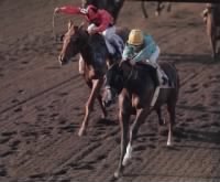 Thumbnail for Northern Dancer, Willie Shoemaker.jpg