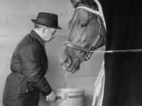 Thumbnail for Trainer Johnny Longden shown with Majestic Prince.jpg