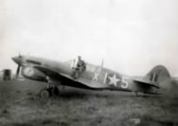Curtiss P-40F Warhawk Italy 1944.jpg