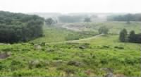 View of the Devils Den from Little Round Top.jpg