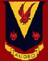 324th Fighter Group Patch.jpg