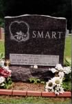 Thumbnail for Smart 1.jpg