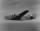 Thumbnail for Consolidated B-24D Liberator.jpg