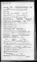 1905 Iowa  Census - Ellen M. Warner.jpg