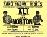 ali-norton-poster.jpg