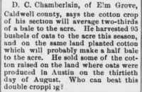 D C Chamberlain 1878 Cotton and Oats Cropping.jpg