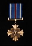 Thumbnail for Distinguished Naval Flying Cross.jpg