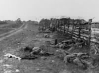 Thumbnail for antietam-cornfield.jpg