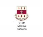 Thumbnail for 313th Medical Battalion.jpg