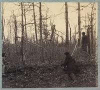 Thumbnail for Trees shattered by artillery fire on south side of Plank Road1.jpg